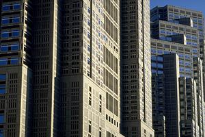 ハンディカメラを使用する赤外線調査